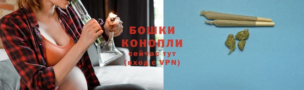 ГАЛЛЮЦИНОГЕННЫЕ ГРИБЫ Богородск
