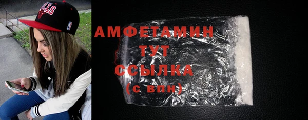 ECSTASY Богданович