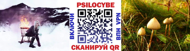 нарко площадка состав  Мирный  Псилоцибиновые грибы ЛСД 